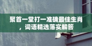 聚首一堂打一准确最佳生肖，词语精选落实解答