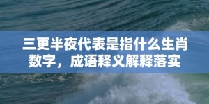 三更半夜代表是指什么生肖数字，成语释义解释落实