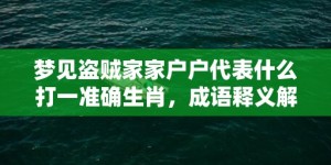 梦见盗贼家家户户代表什么打一准确生肖，成语释义解释落实