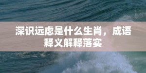 深识远虑是什么生肖，成语释义解释落实