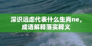 深识远虑代表什么生肖ne，成语解释落实释义