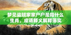 梦见盗贼家家户户是指什么生肖，成语释义解释落实