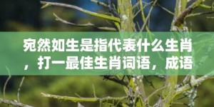 宛然如生是指代表什么生肖，打一最佳生肖词语，成语释义解释落实