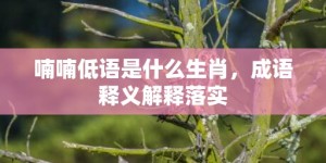 喃喃低语是什么生肖，成语释义解释落实