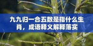 九九归一合五数是指什么生肖，成语释义解释落实