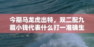 今期马龙虎出特，双二配九藏小钱代表什么打一准确生肖，释义成语落实解释