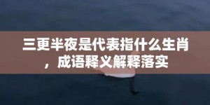 三更半夜是代表指什么生肖，成语释义解释落实