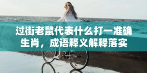 过街老鼠代表什么打一准确生肖，成语释义解释落实