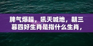 脾气爆躁，吼天喊地，朝三暮四好生肖是指什么生肖，成语释义解释落实