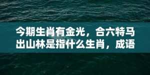 今期生肖有金光，合六特马出山林是指什么生肖，成语释义解释落实