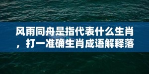 风雨同舟是指代表什么生肖，打一准确生肖成语解释落实释义