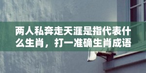 两人私奔走天涯是指代表什么生肖，打一准确生肖成语解释落实释义