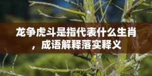 龙争虎斗是指代表什么生肖，成语解释落实释义