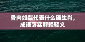 骨肉如柴代表什么确生肖，成语落实解释释义