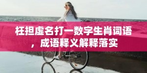 枉担虚名打一数字生肖词语，成语释义解释落实