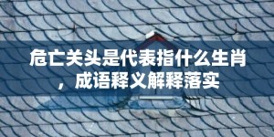 危亡关头是代表指什么生肖，成语释义解释落实