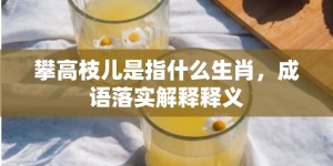 攀高枝儿是指什么生肖，成语落实解释释义