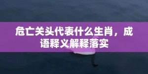 危亡关头代表什么生肖，成语释义解释落实