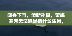 闻香下马，清新扑鼻，萦绕芬芳无法避是指什么生肖，成语落实解释释义