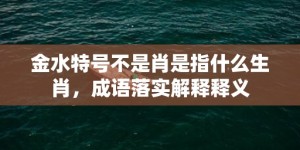 金水特号不是肖是指什么生肖，成语落实解释释义