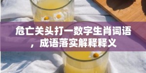 危亡关头打一数字生肖词语，成语落实解释释义