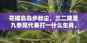 花裙岛岛步秋尘，三二降至九参尾代表打一什么生肖，成语落实解释释义