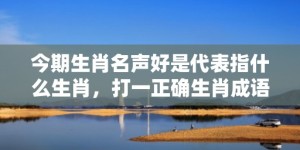 今期生肖名声好是代表指什么生肖，打一正确生肖成语落实释义