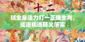 贼全身法力打一正确生肖，成语精选释义落实