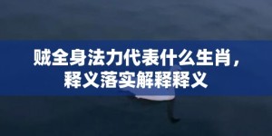 贼全身法力代表什么生肖，释义落实解释释义
