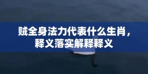 贼全身法力代表什么生肖，释义落实解释释义