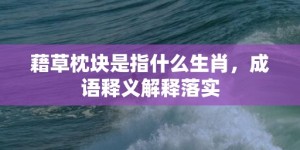 藉草枕块是指什么生肖，成语释义解释落实