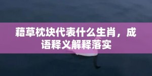 藉草枕块代表什么生肖，成语释义解释落实