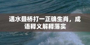 遇水叠桥打一正确生肖，成语释义解释落实