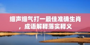 细声细气打一最佳准确生肖，成语解释落实释义