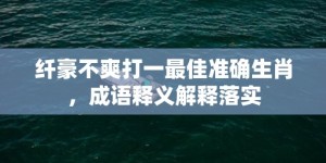 纤豪不爽打一最佳准确生肖，成语释义解释落实