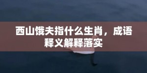 西山饿夫指什么生肖，成语释义解释落实