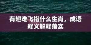 有翅难飞指什么生肖，成语释义解释落实