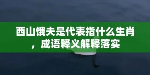 西山饿夫是代表指什么生肖，成语释义解释落实