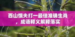 西山饿夫打一最佳准确生肖，成语释义解释落实