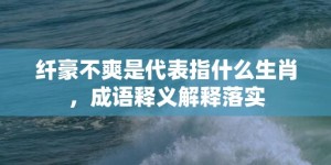 纤豪不爽是代表指什么生肖，成语释义解释落实