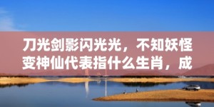 刀光剑影闪光光，不知妖怪变神仙代表指什么生肖，成语落实解释释义