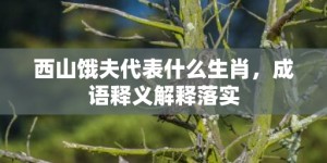 西山饿夫代表什么生肖，成语释义解释落实