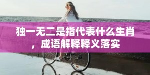 独一无二是指代表什么生肖，成语解释释义落实