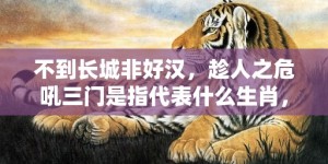 不到长城非好汉，趁人之危吼三门是指代表什么生肖，成语解释释义落实