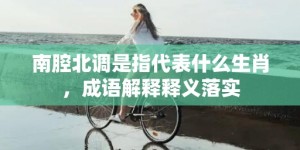 南腔北调是指代表什么生肖，成语解释释义落实