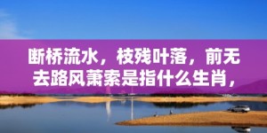 断桥流水，枝残叶落，前无去路风萧索是指什么生肖，成语落实解释释义