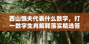 西山饿夫代表什么数字，打一数字生肖解释落实精选答案