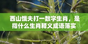 西山饿夫打一数字生肖，是指什么生肖释义成语落实