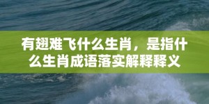 有翅难飞什么生肖，是指什么生肖成语落实解释释义