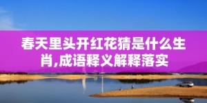 春天里头开红花猜是什么生肖,成语释义解释落实